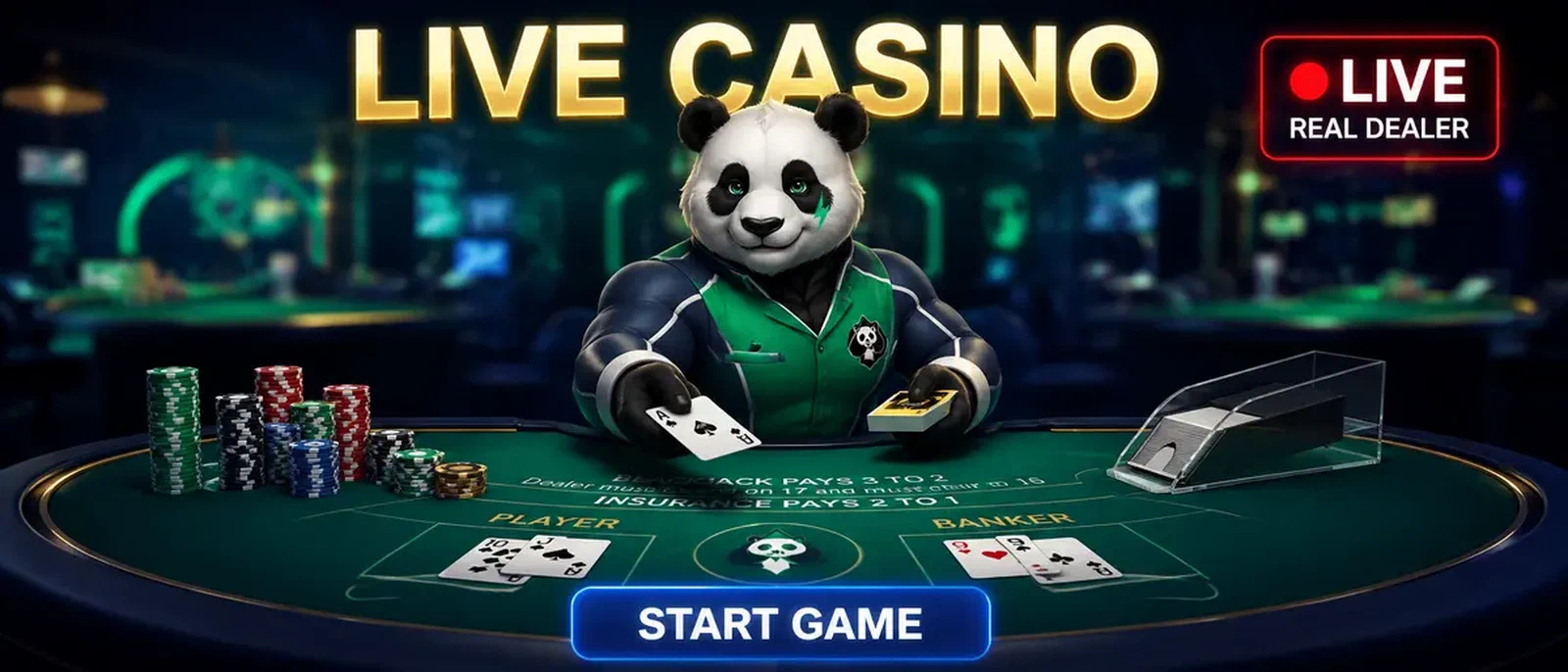 Bruno Live Casino - Croupiers Professionnels et Jeux en Temps Réel